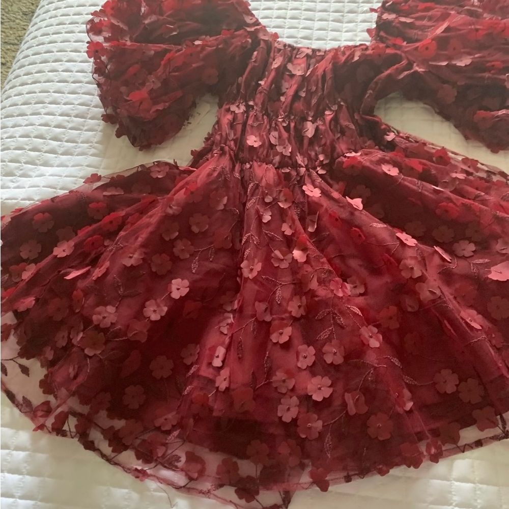 Altar'd State Red Floral Mini Dress